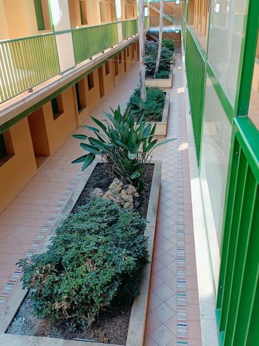 Rincon Del Delta, Apartamento En El Delta Del Ebro, Playa Trabucador Amposta, Tarragona L'Eucaliptus Exteriér fotografie